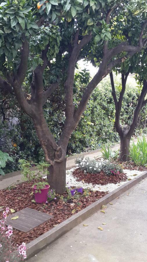 Lovely House كانيو سور مير المظهر الخارجي الصورة